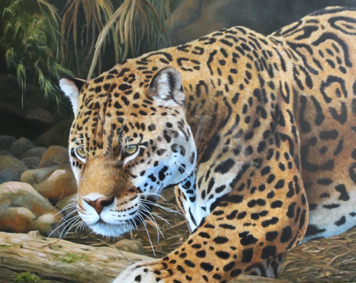 Exhibition Of Wildlife Art